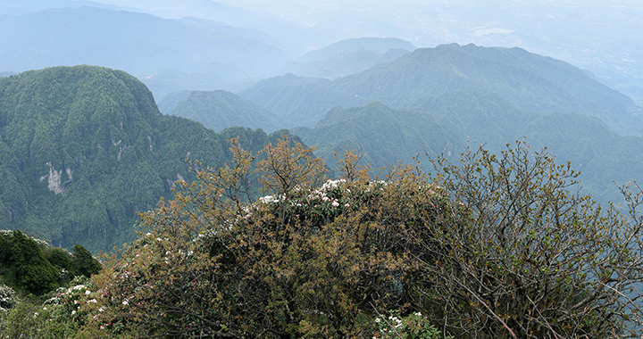 赞美西安古城唯美句子，古城西安——历史的华章，岁月的诗行（通用2篇）(图2)